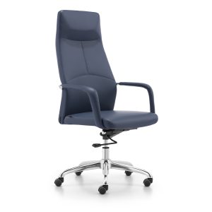 EuroFlex Modern Executive Chair