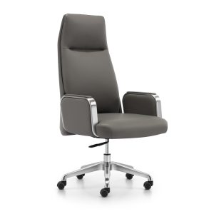 Skemaze Executive Chair